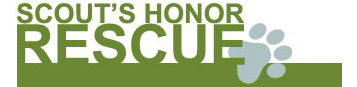 Scouts Honor Logo